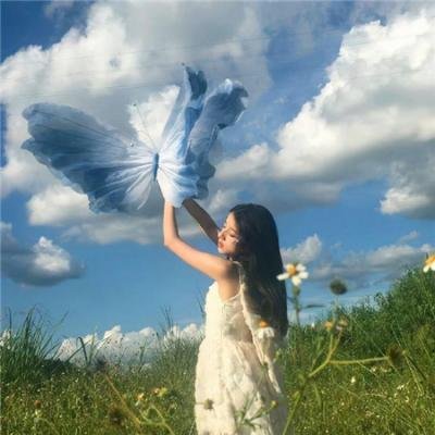 我的美丽王国